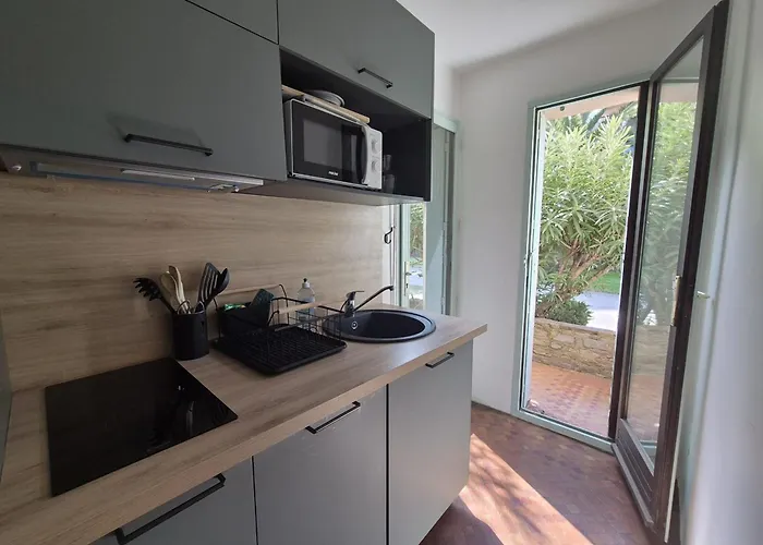 : Lumineux T2 Avec Terrasse Et Parking - Fr-1-309-442 아파트 콜리우르